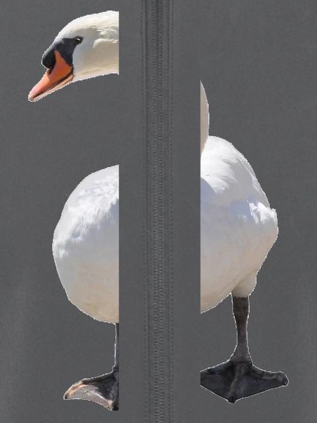 Schwan