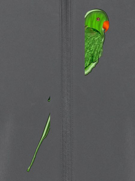 parrot35