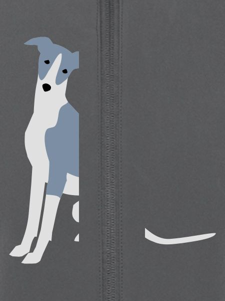 Whippet