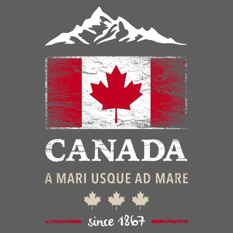 Canada Ottawa Maple Leaf Maple Leaf Canada America