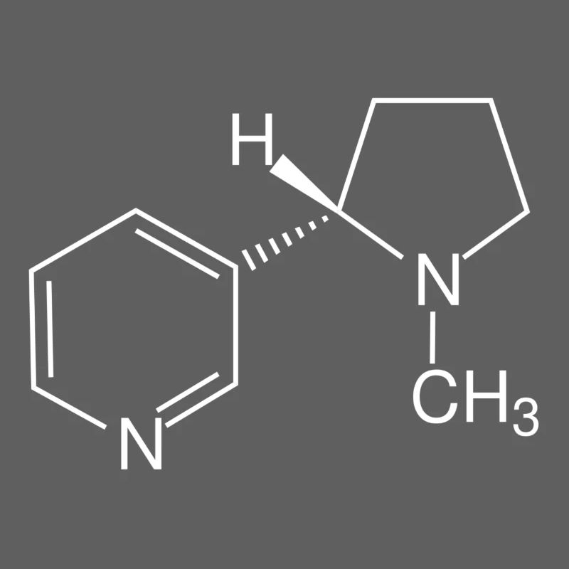 Nicotine structural formula