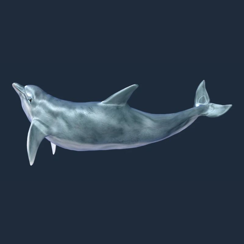 Delfin