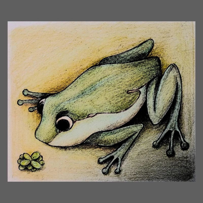 frog