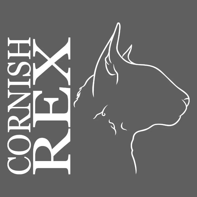 Cornish Rex Profil Katzen Katze Wilsigns