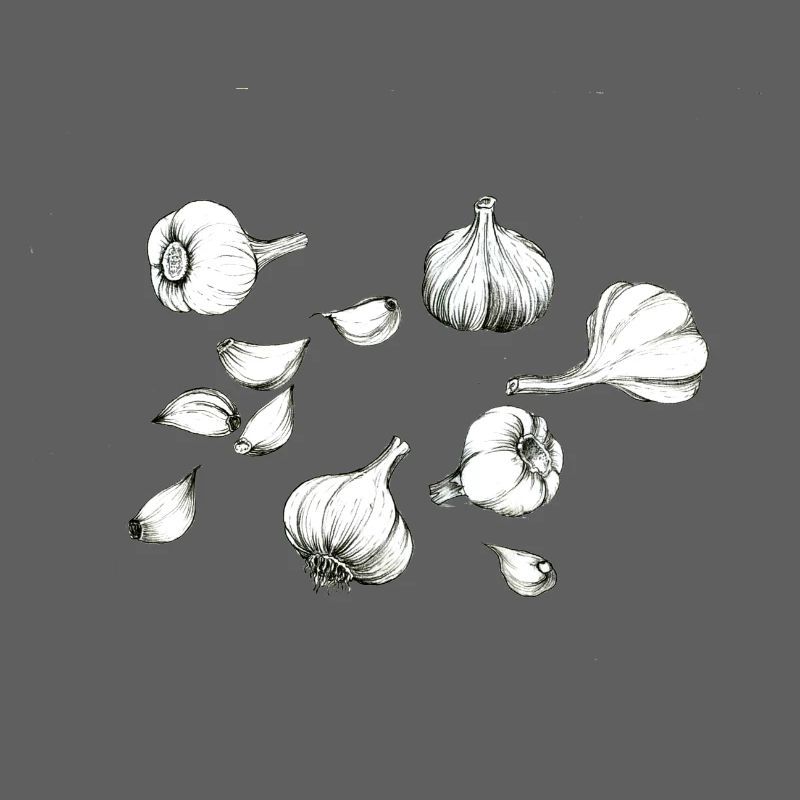 Knoblauch