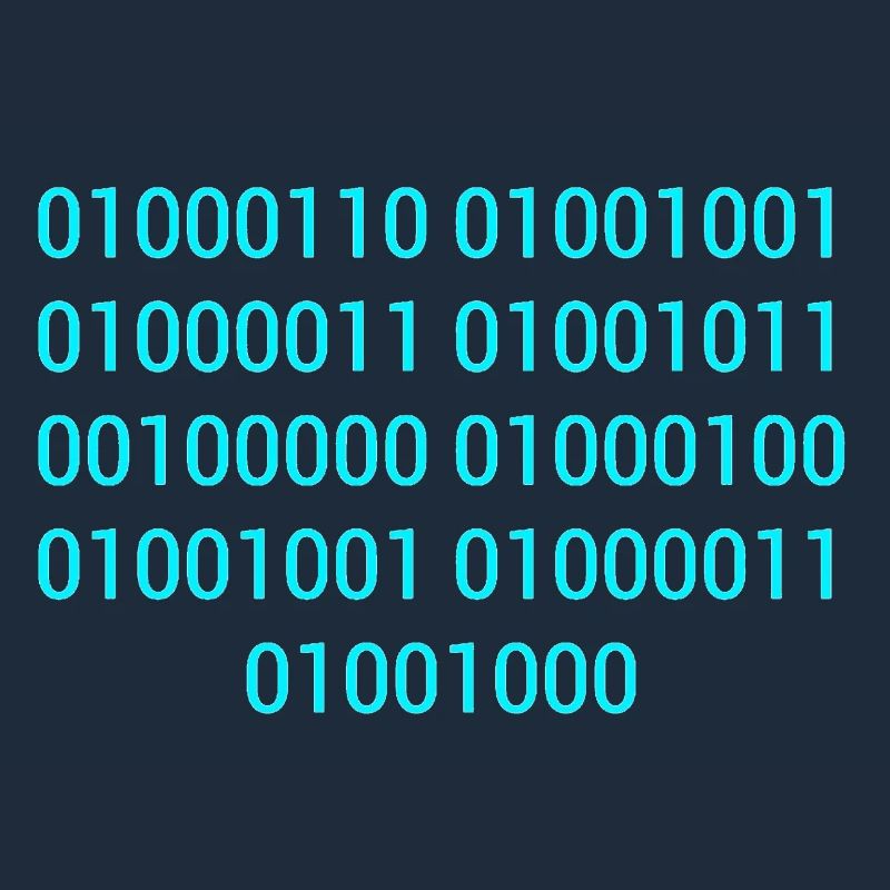 BINARY CODE / BINARY CODE F**K YOU GIFT IDEA