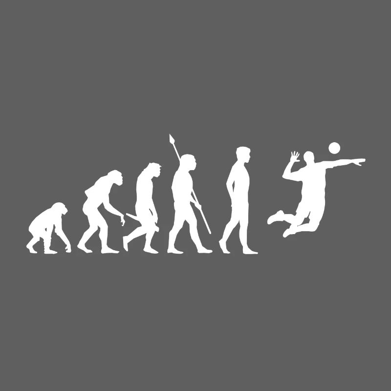 Volleyball Evolution