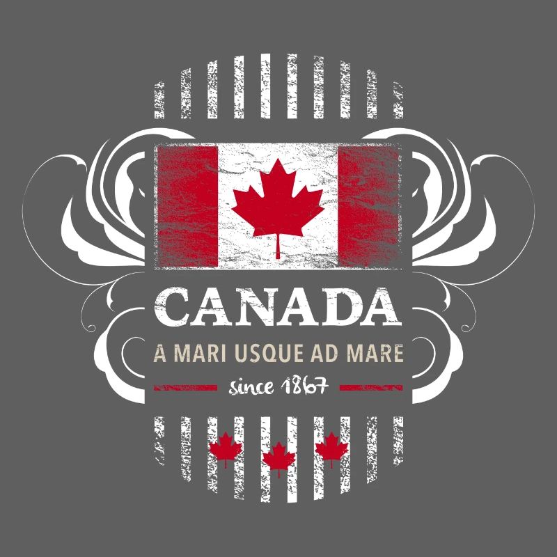 Flag Flag Canada Canada Maple leaf 2