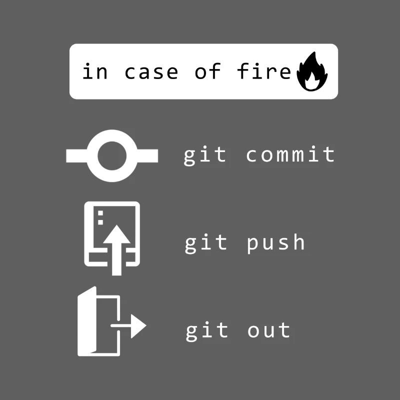 Programmer, Developer, Computer Scientist, Developer