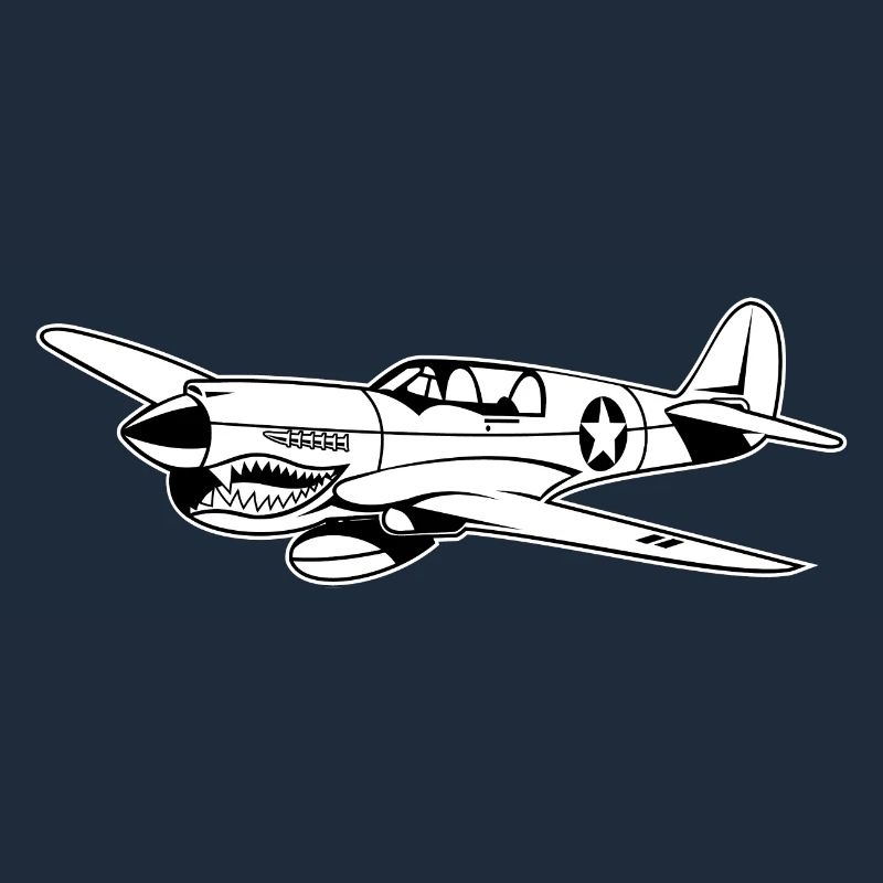 Fighter plane / warplane Warhawk 02_weiß