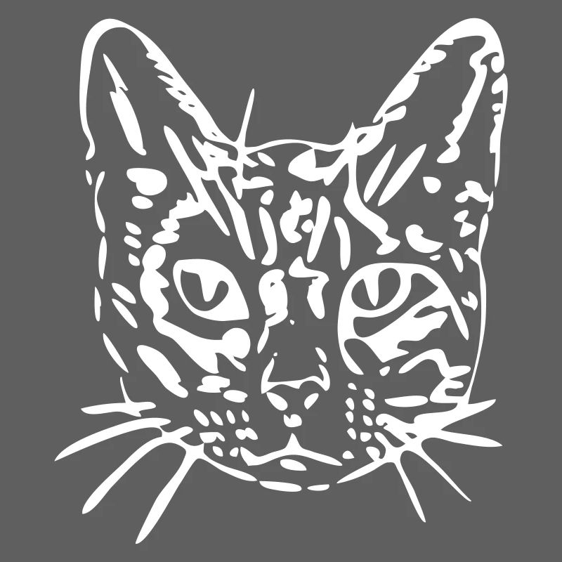 Cat, kitty, kitty, gift, gift idea