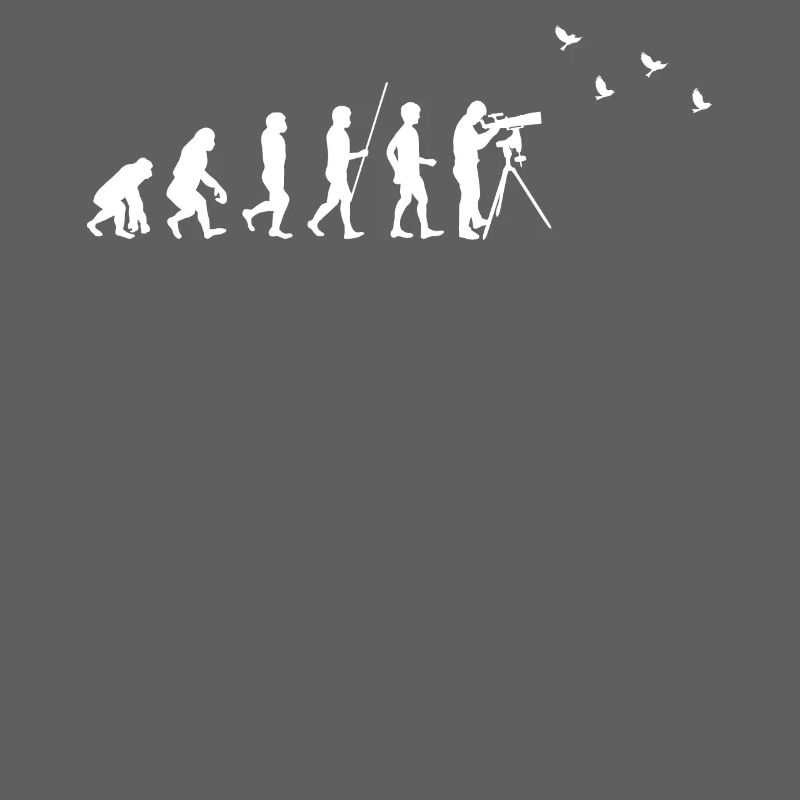 Observation des oiseaux - Observation des oiseaux - Evolution - fun