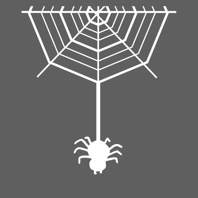 Spider - spiders - spider owner - spider web