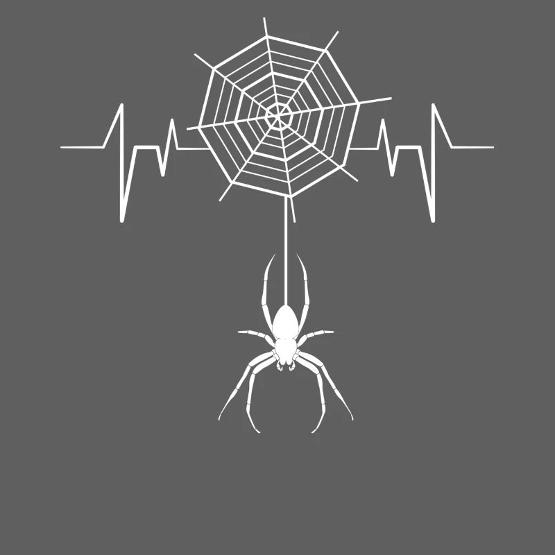 Spider - spiders - spider owner - spider web