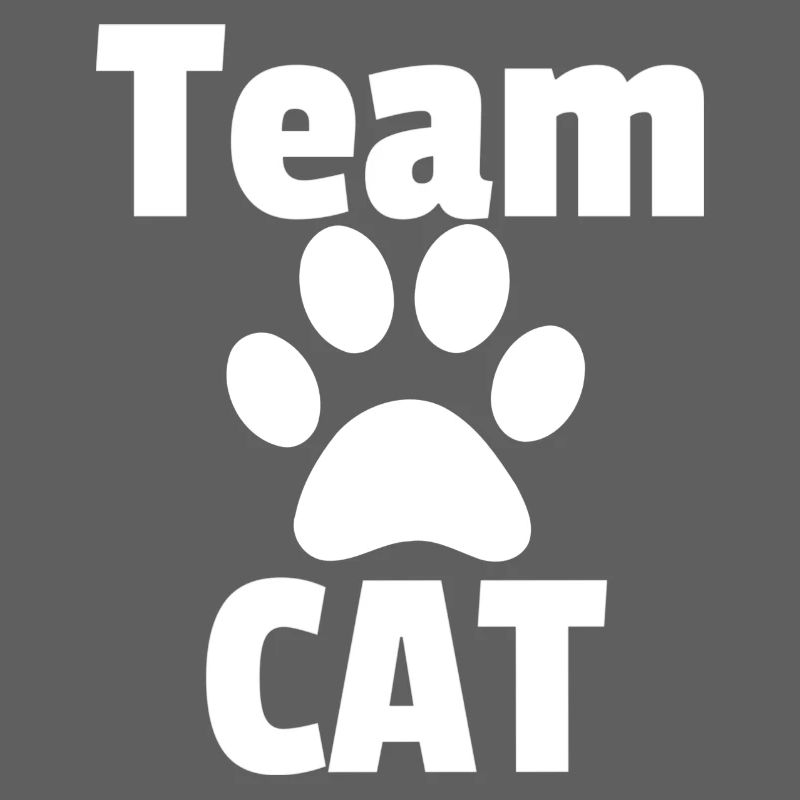 Equipe CAT