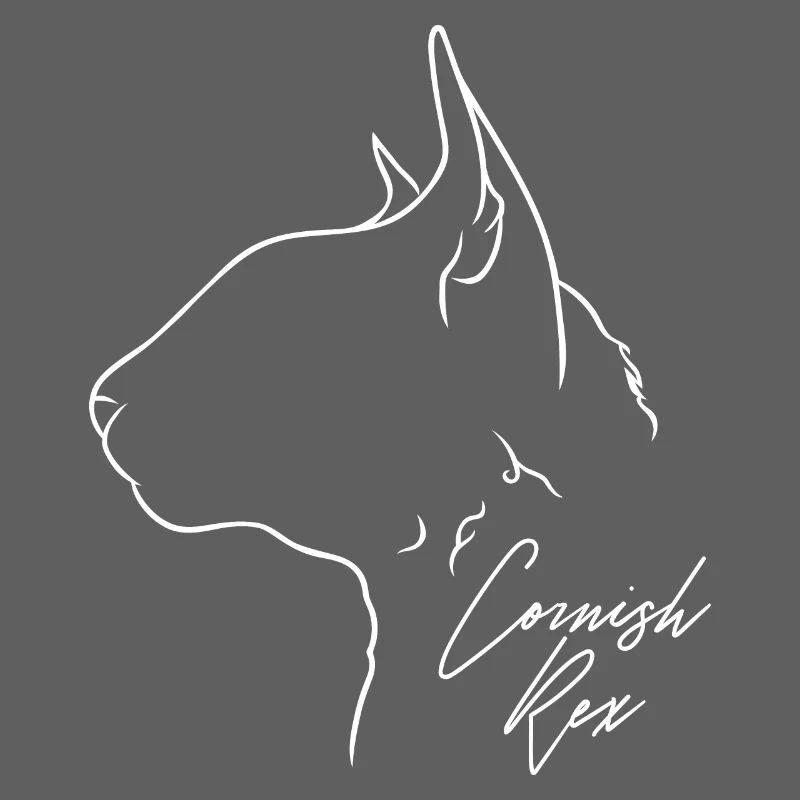 Cornish Rex Profile Cat Cat Wilsigns
