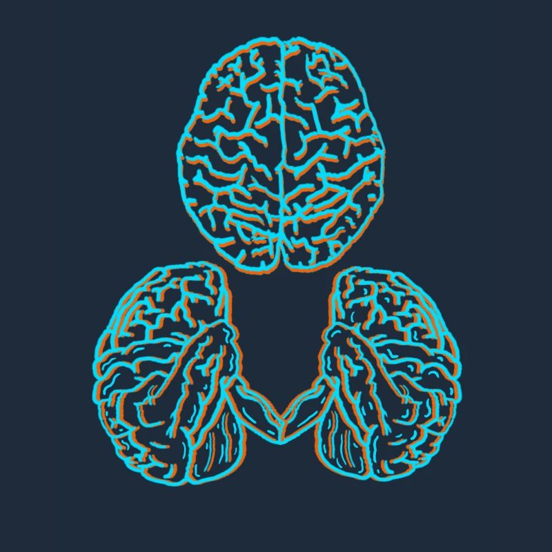 Brain