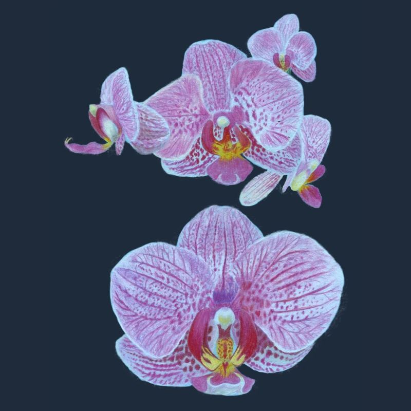 orchid flowers