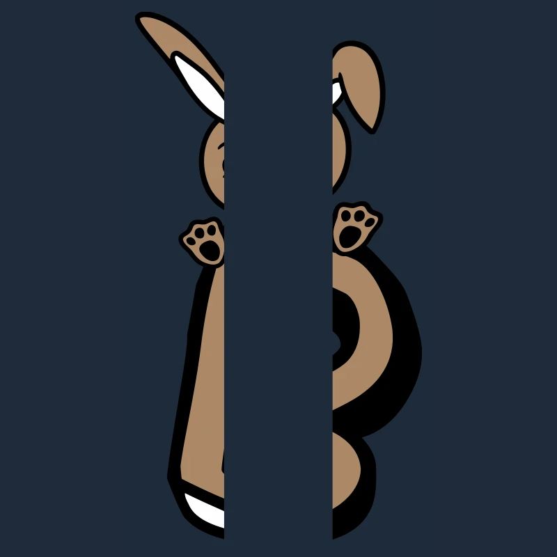 Bunny Letter B Like Bunny Big Alphabet Learning