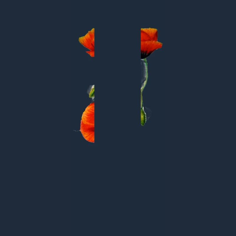 mohnblume