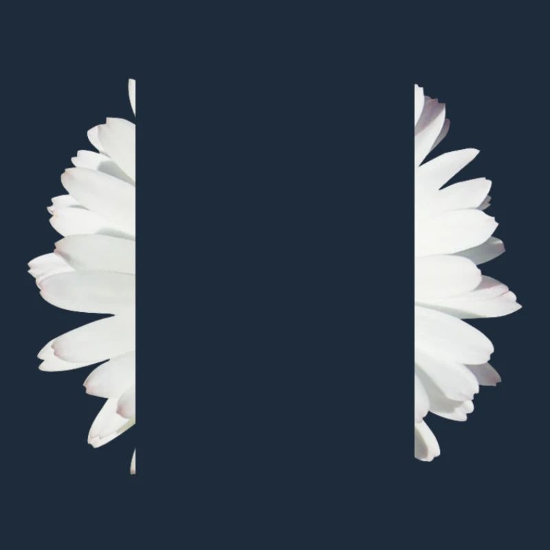 Gänseblümchen