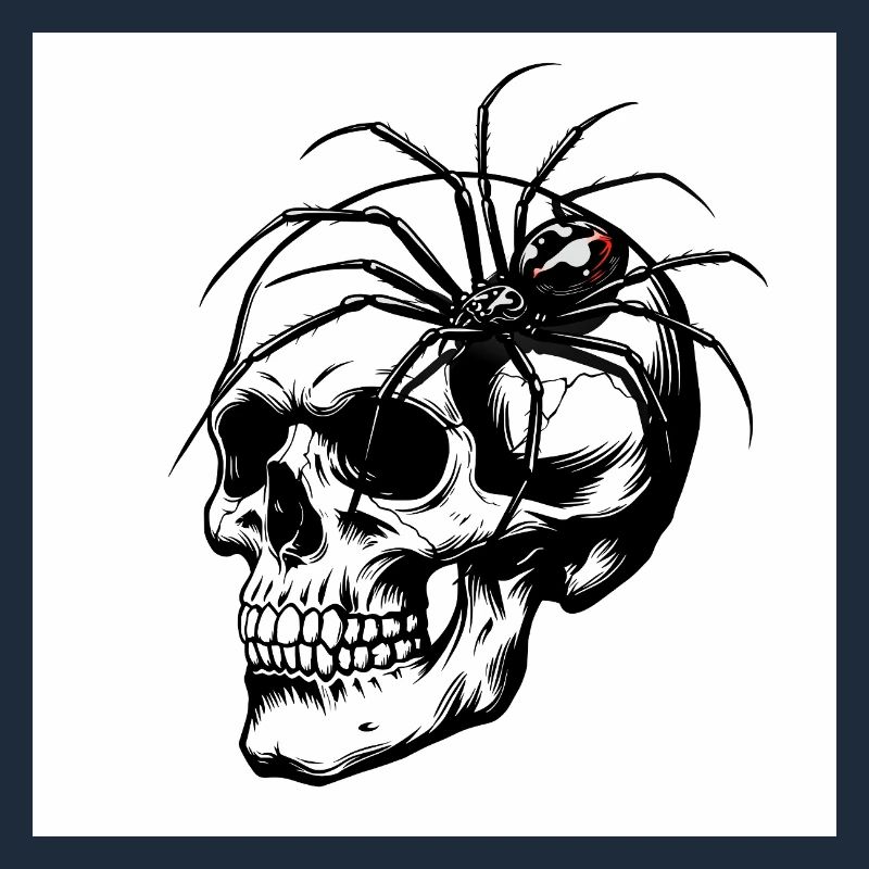 Totenkopf & Spinne – Netz des Todes