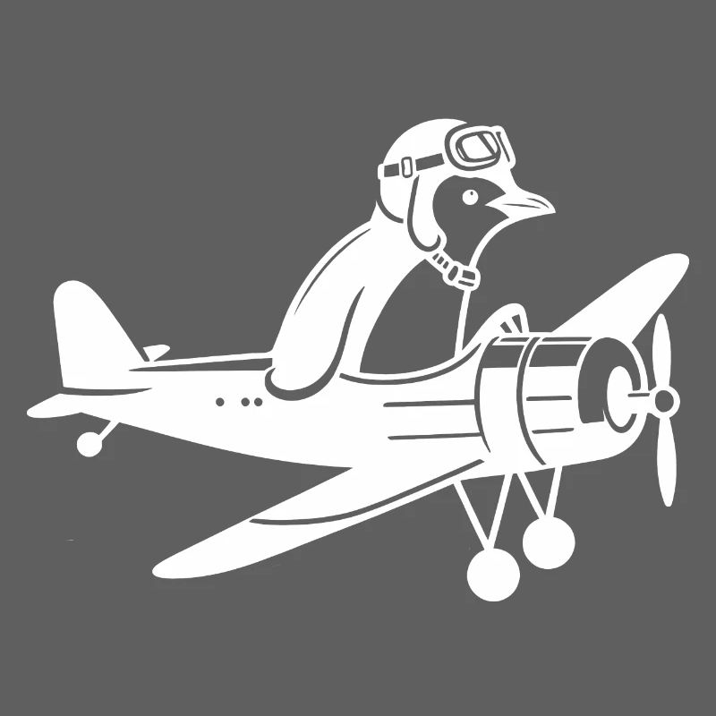 Licence de vol d’avion Penguin Pilot