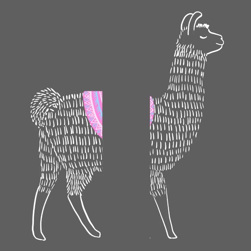 Boho Lama