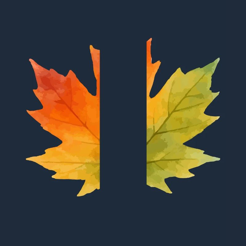 Feuille d’érable Aquarelle 1