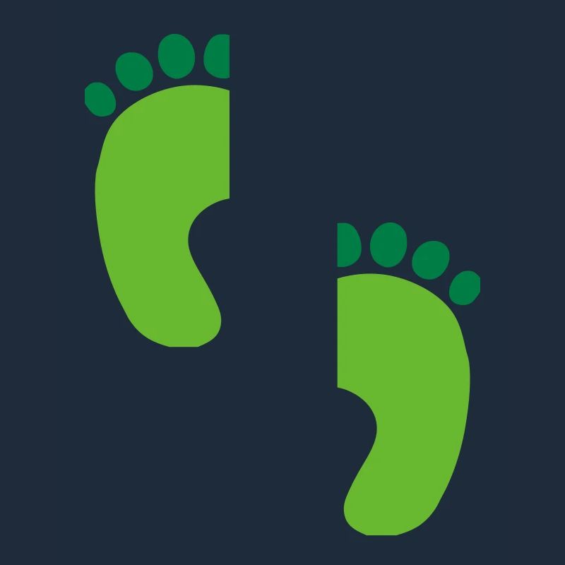 footprints2