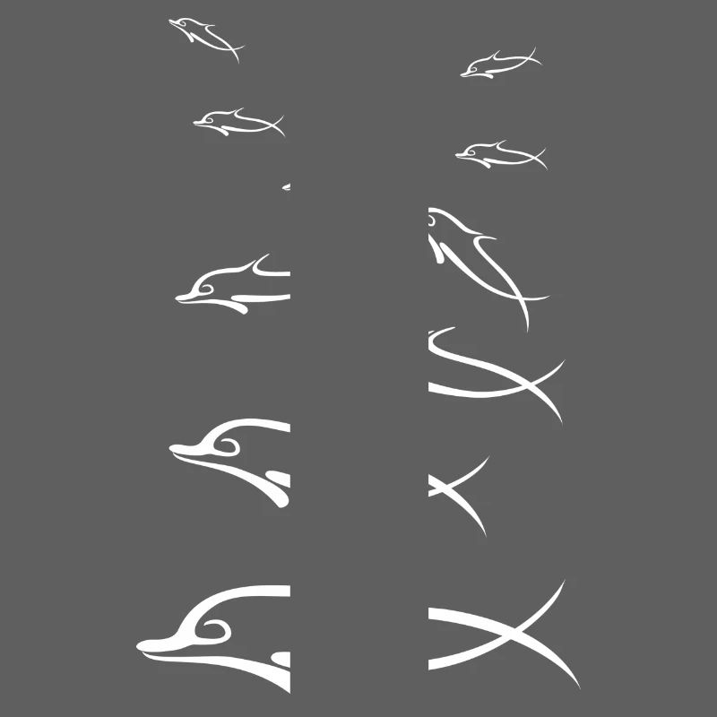 Dolphins white group