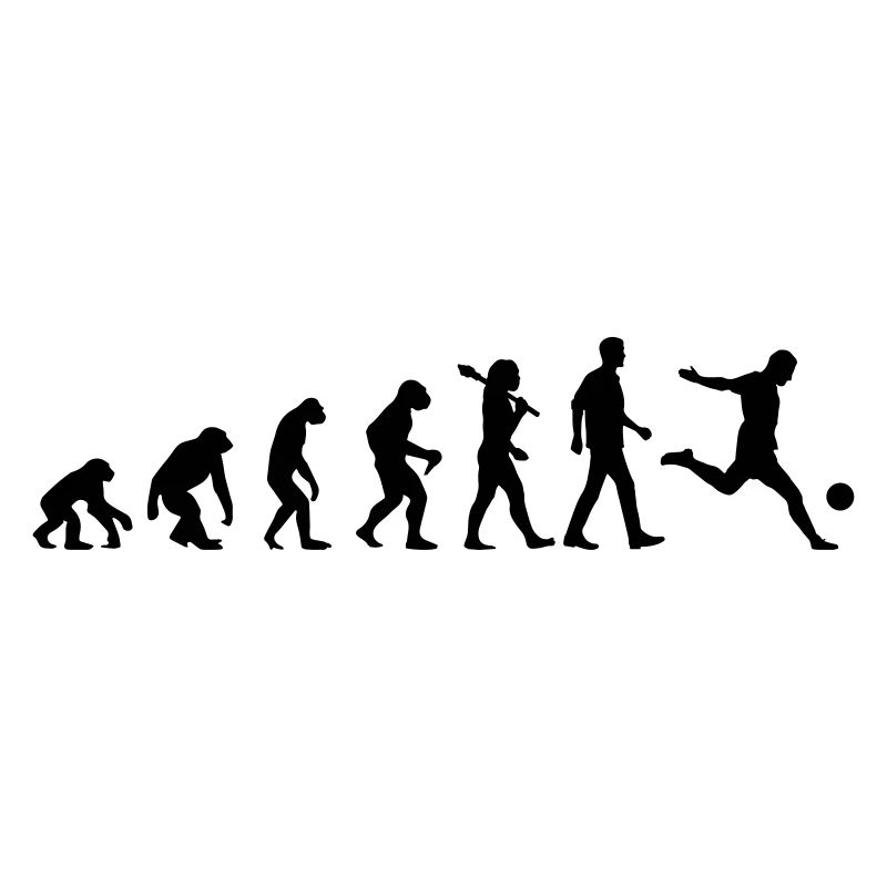 Evolution of Soccer