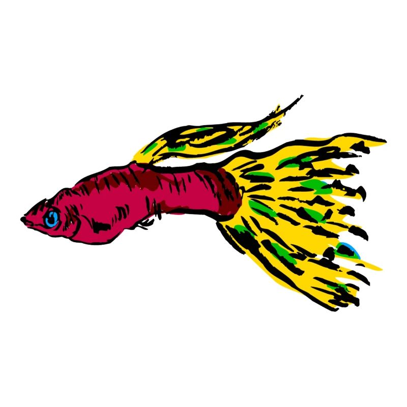 fish