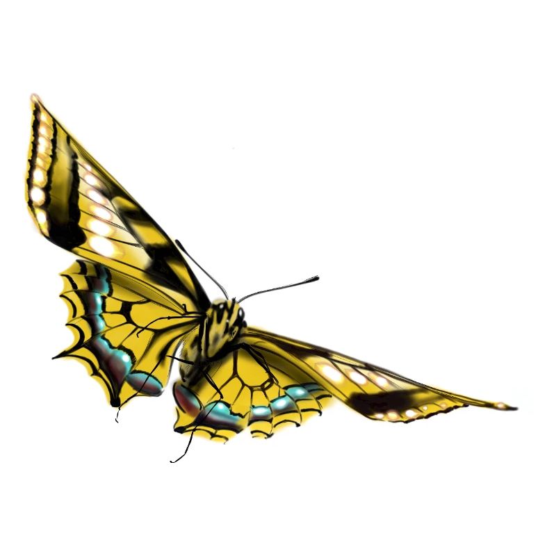 Papillon à ailes dorées