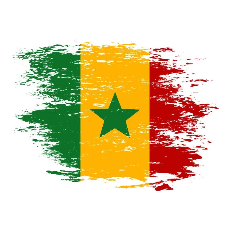 Drapeau du Sénégal Brush Optics