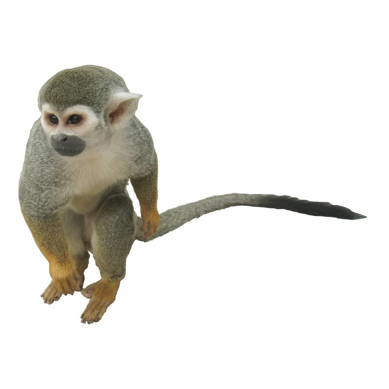 ape