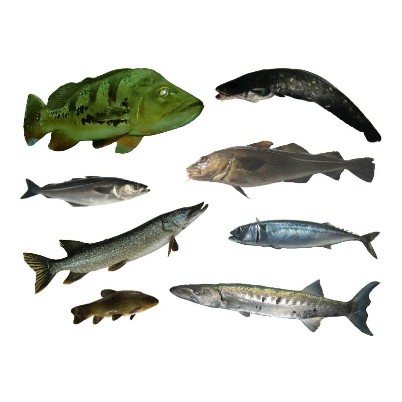 Pisces