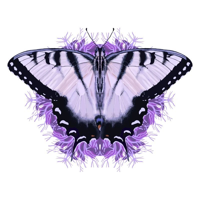 Papillon blanc à fleur pourpre