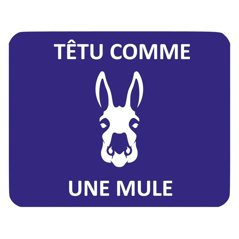 Têtu comme une mule