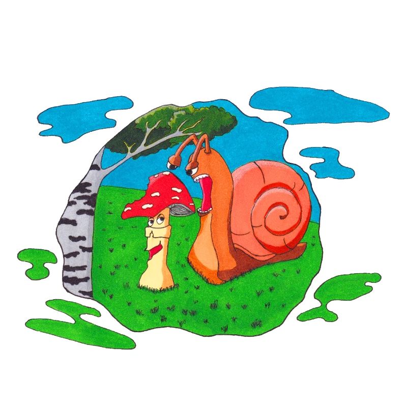 Mushroom front