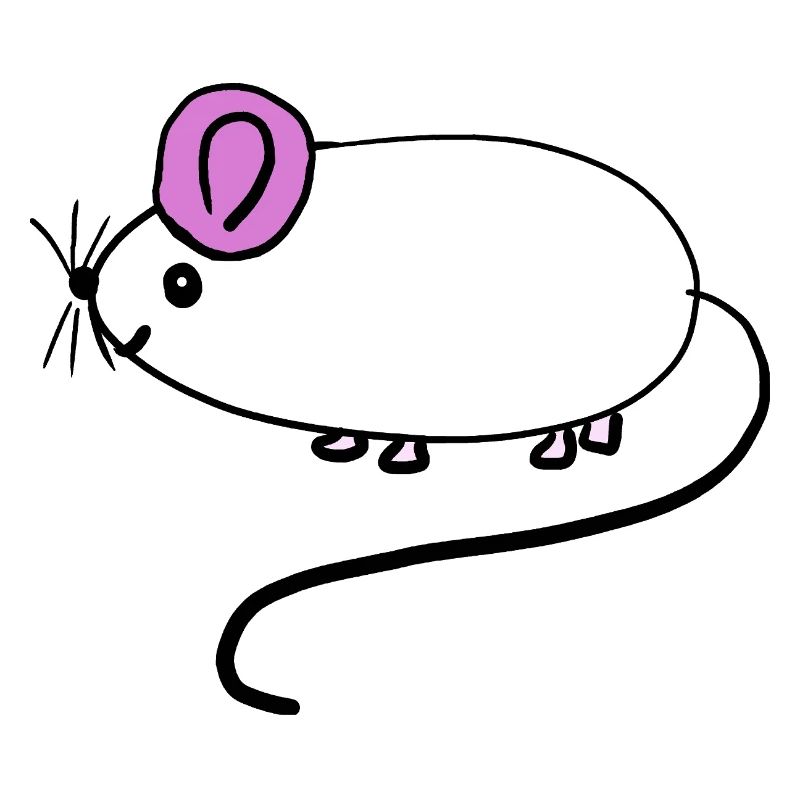 Bébé des rats rats rats rongeurs