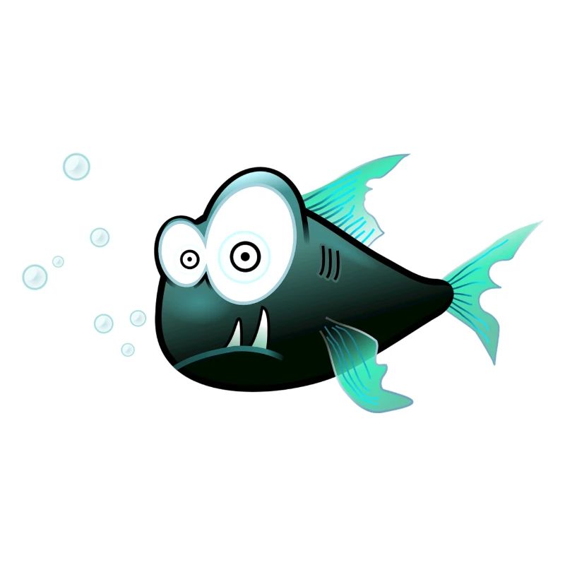 poissons perplexe