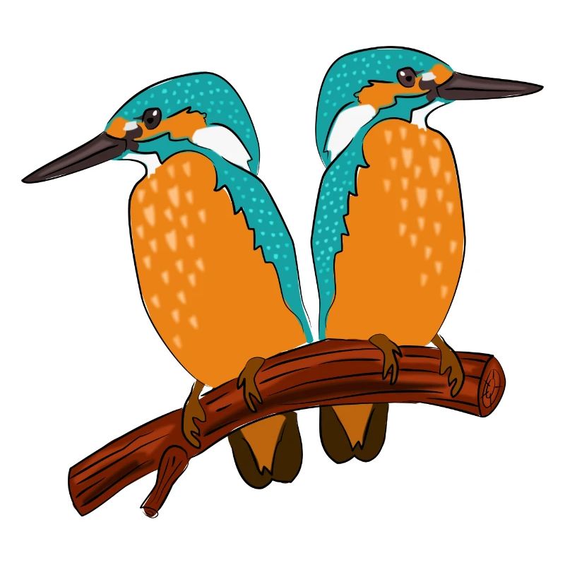 Eisvogel Pärchen