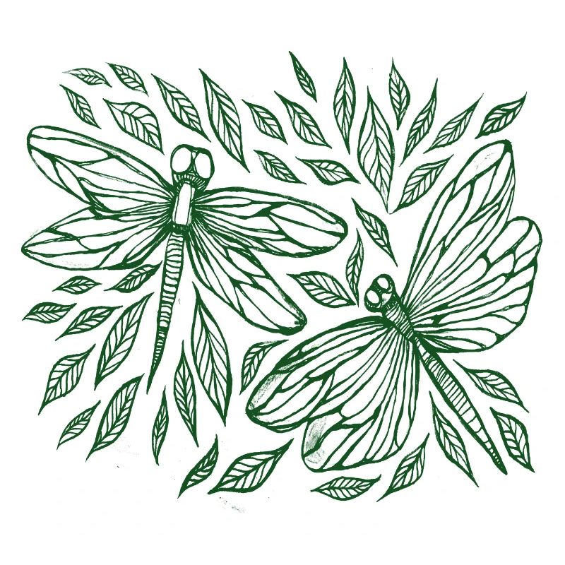 Libellules et feuilles Botanique