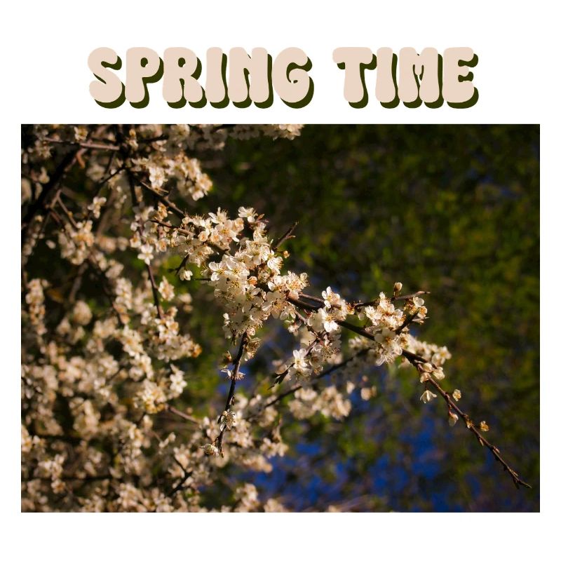 Spring Time