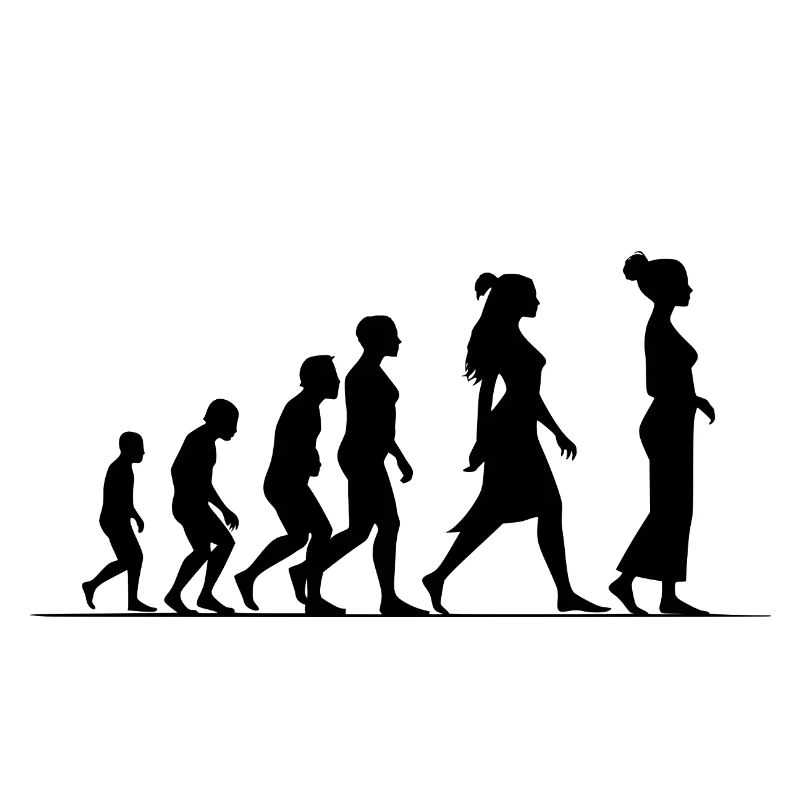 Évolution féministe