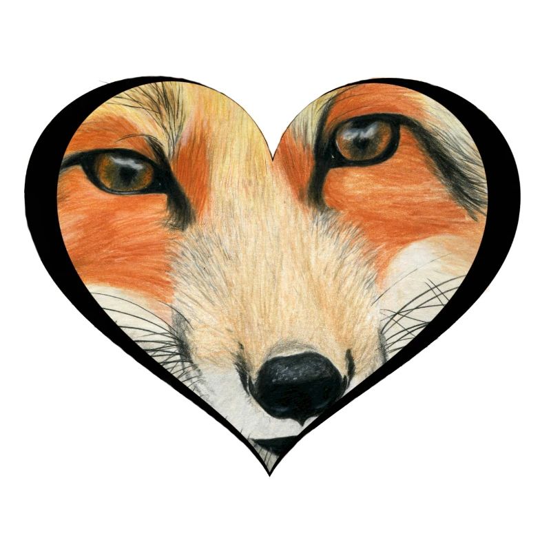 Fuchs