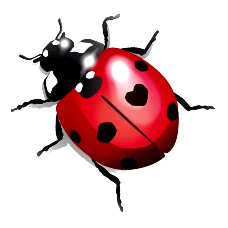 Ladybug