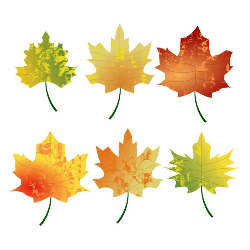feuilles d'automne