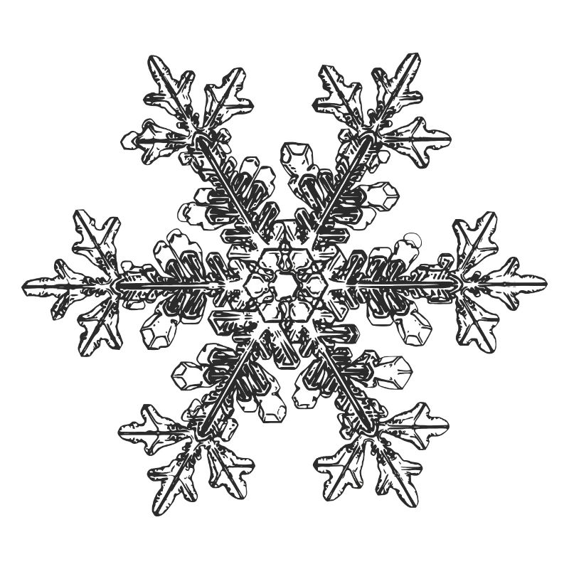 snowflake 7 black